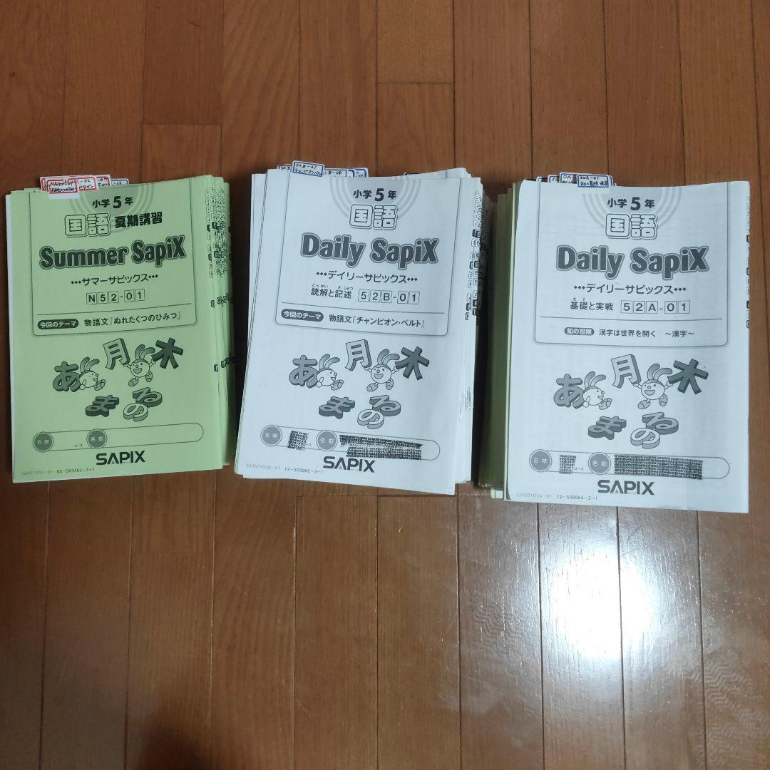 サピックス SAPIX 小学5年 国語 1年分 2024年〜2025年 - メルカリ