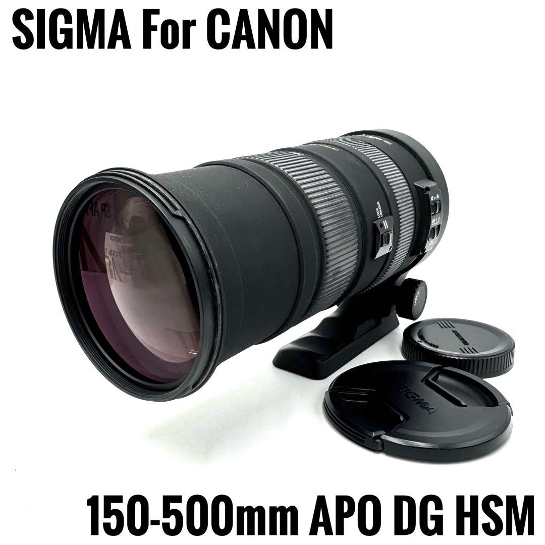 ❁動作良好❁SIGMA 150-500mm DG OS HSM CANON 用 Sigma 150-500mm f/5-6.3 DG OS HSM Interchangeable Lens Review