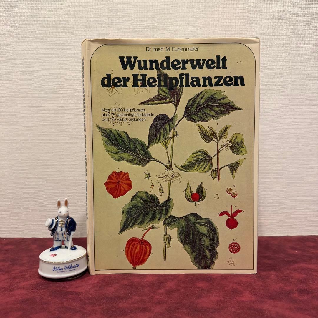 223⑩1980年ドイツ語植物図鑑 洋書古書 ジャンクジャーナル ボタン