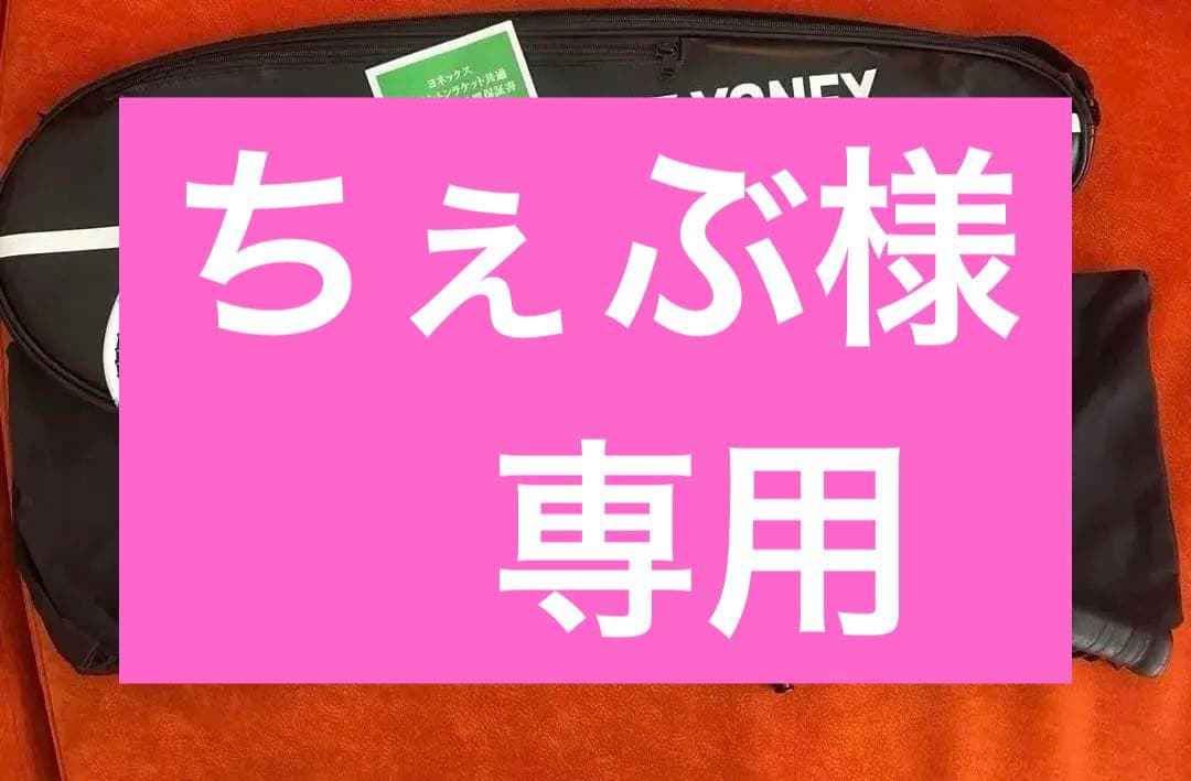 YONEX アストロクス33 ケース付き　【美品】 2026年最新】アストロクス33の人気アイテム - メルカリ