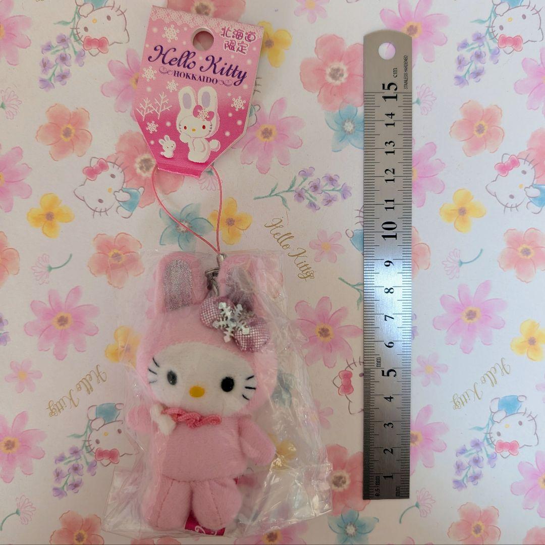 公*o様 【希少】ハローキティ　ご当地キティ　根付け　北海道　雪うさぎピンク ハローキティご当地限定ストラップ 根付け 北海道限定 白雪うさぎ と