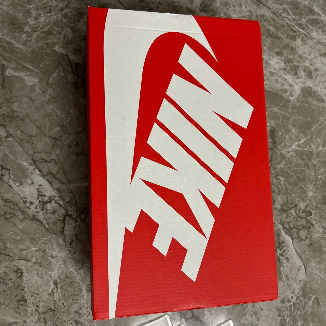 ナイキ エアマックスエクシー 25.5cm