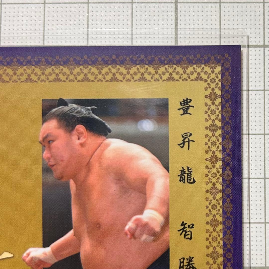 BBM 大相撲 豊昇龍 智勝 巨星 横綱 SUMO CARDS インサート - 2024 BBM