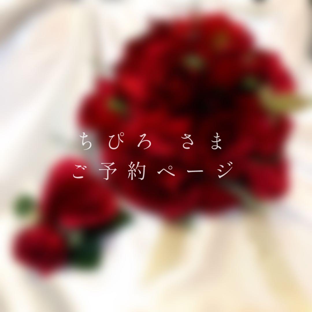 ちぴろ様　ご予約ページ Z/Xを予約してPRカードをもらおう！キャンペーン ぜくげ～これくしょん