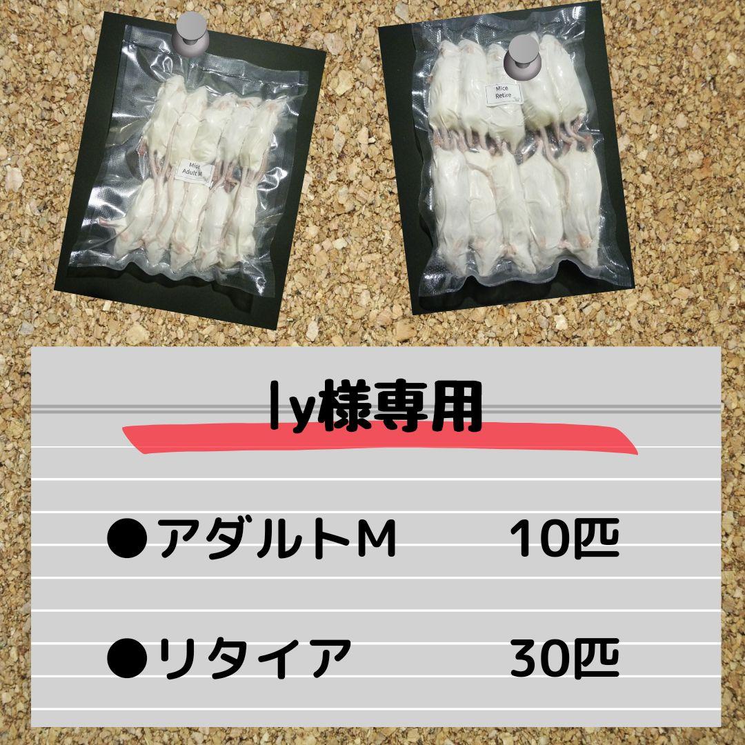 ly様専用】国産冷凍マウスアダルトM 10匹、リタイア 30匹
