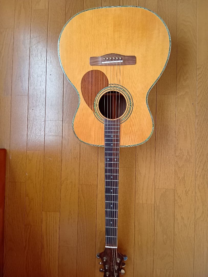 ギター Greg Bennett Amazon.co.jp: Samick Greg Bennett Design D5 アコースティックギター