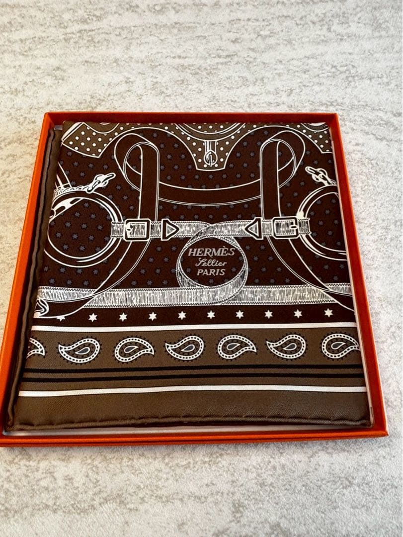 HERMES シルクバンダナ 2024 秋冬コレクション 寒いですね！】エルメスの2024年秋冬コレクション カレジェアン