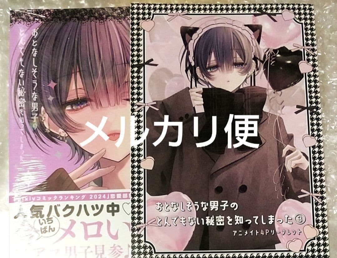 おとなしそうな男子のとんでもない秘密を知ってしまった 3 特典