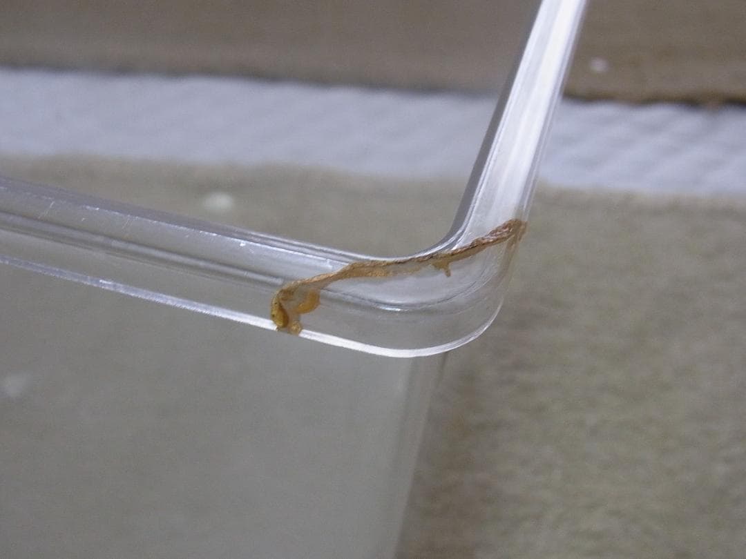 コバエシャッター中10個（中古）その他虫カゴ10個、幼虫用飼育