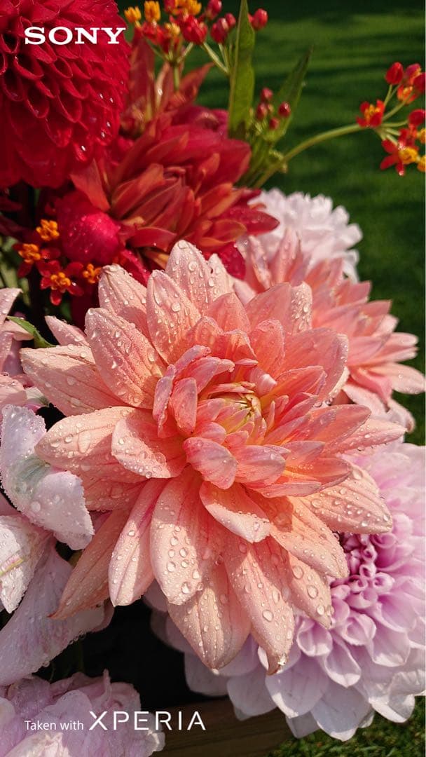 なお品 Flap type Calf Leather Case For WALKMAN® NW-ZX707 – 株式会社