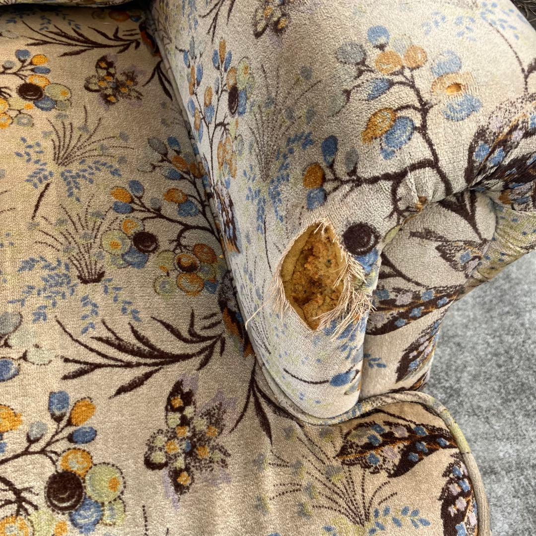 マルニ木工 地中海シリーズ 花柄ベロア 二人掛けソファー アームチェア