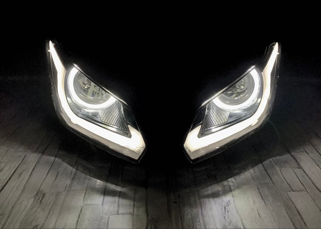 NINJA250 EX250L ZX-6RカスタムLEDヘッドライト ニンジャ おひとつ限り 】NINJA250 EX250L ZX-6R用 カスタムLEDヘッドライト 赤