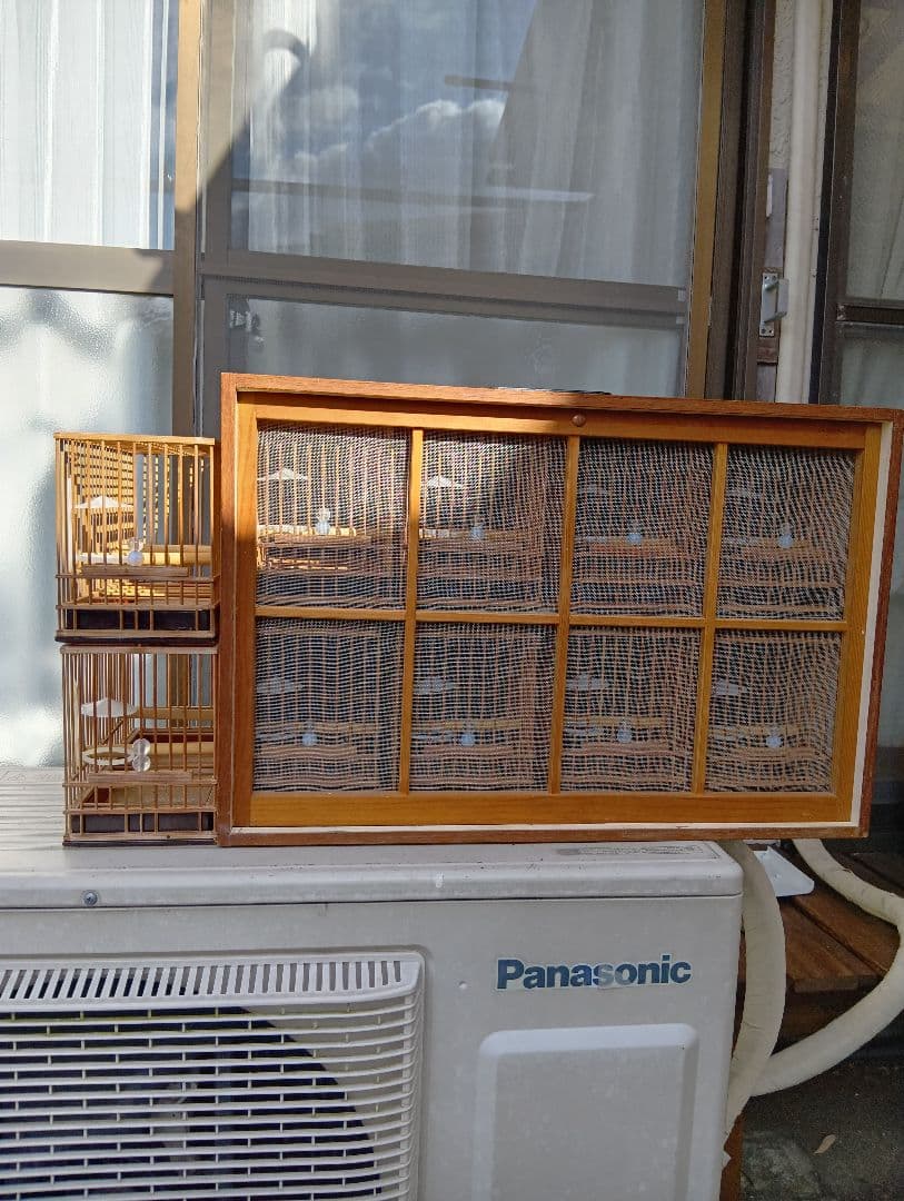 メジロ籠　ヨシガイ8寸5分 手作りデコラ八羽箱　かご8個 楽天市場】メジロの餌 めじろ ヨシガイ工芸 缶入めじろ餌 L