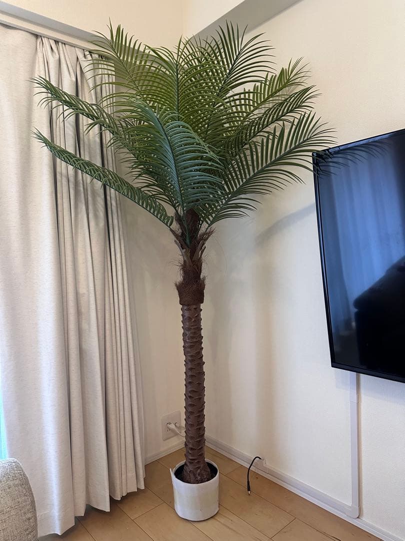 人工観葉植物 約170cm 緑 白鉢 ヤシの木 フェニックス 南国 リゾート フェニックス ロべ ロベレニー シンノウヤシ 椰子の木 ヤシの木 椰子