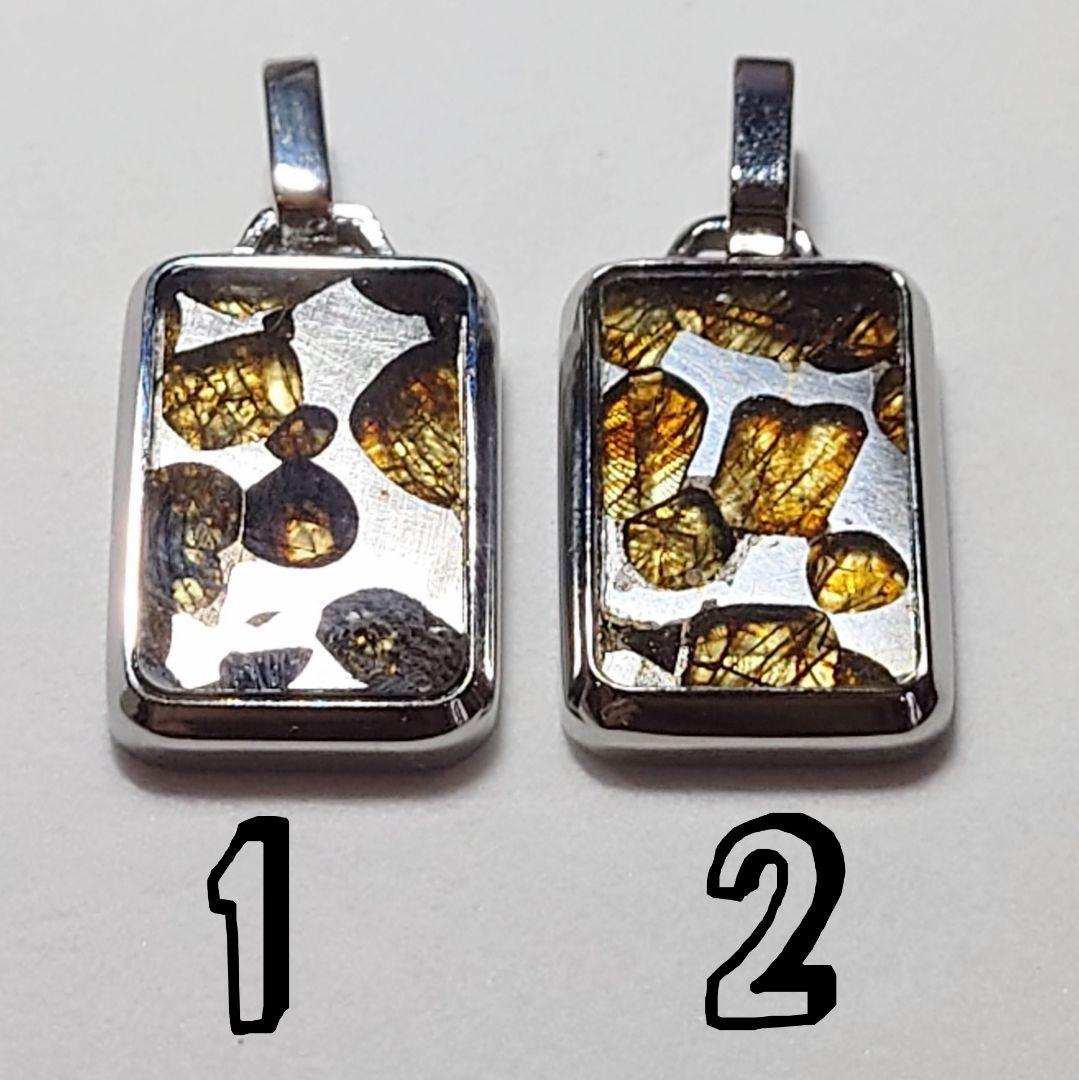 FRIGODJUKIC-☆パラサイト スクエア型 ペンダント①(SA+)