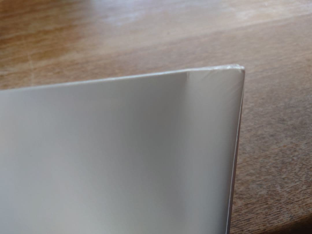 《最終値下》【新品未使用】Steady&Co. CHAMBERS レコード LP