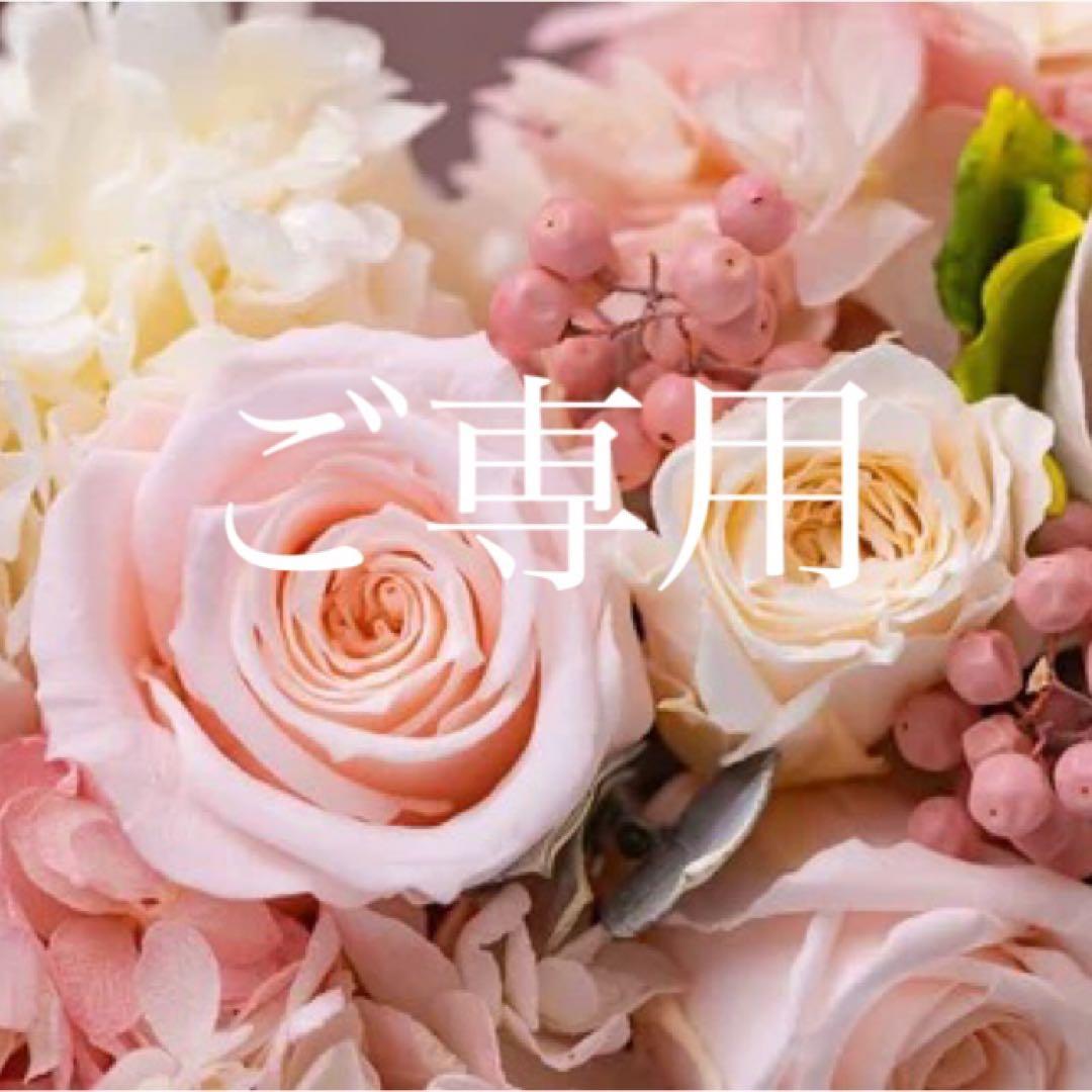 【389】アナイ　ジョーゼット袖フリルブラウス　えんじ　38 B Eternal Line 2024】ジョーゼットフロントビジュー