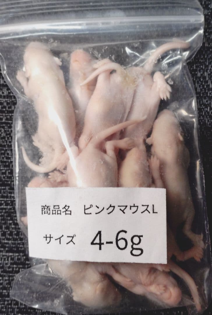 タカポコ　冷凍ピンクマウスＬ100匹　ピンクS50匹 ピンクマウス・通販】安いおすすめSサイズ・冷凍餌の解凍時間｜東京