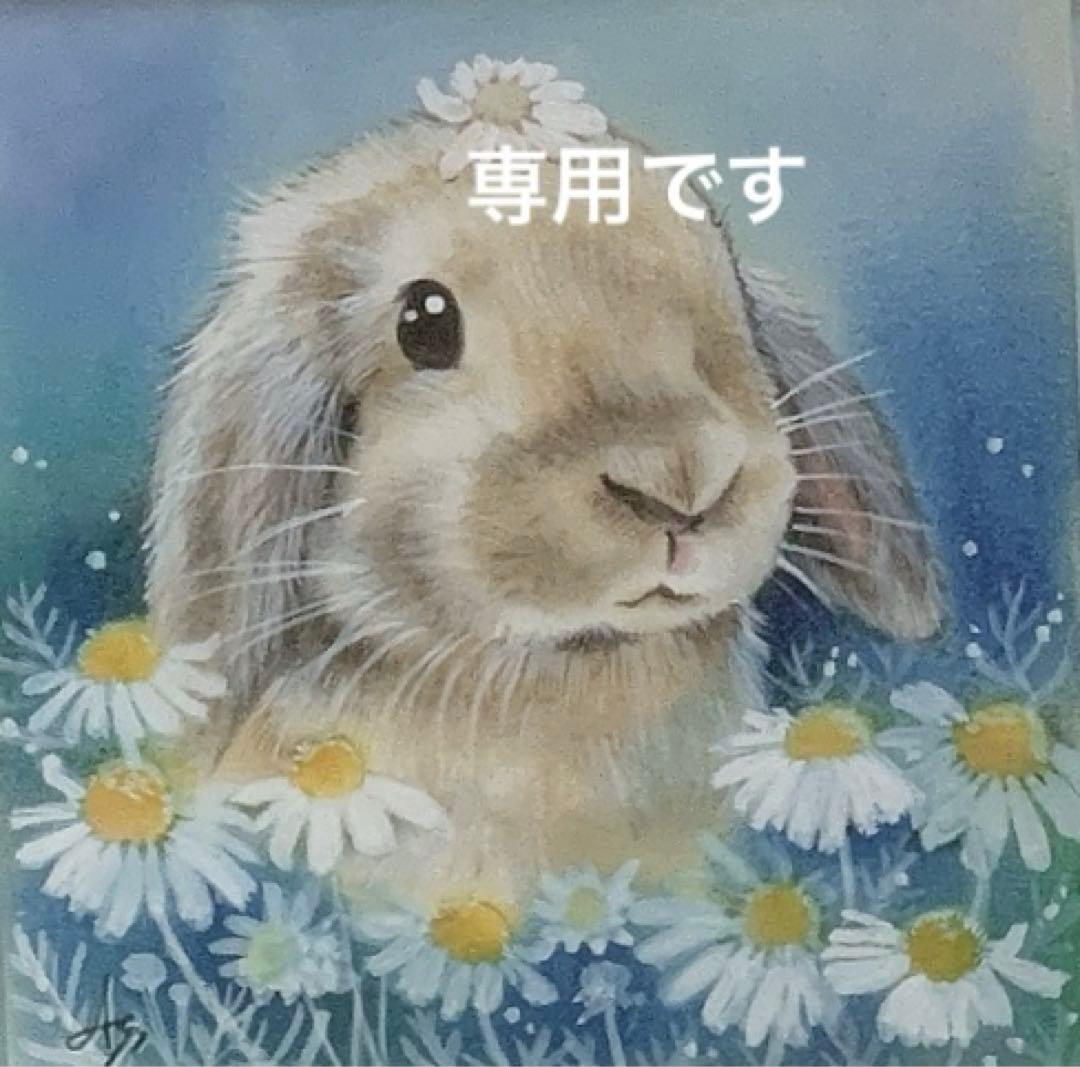 バニーセレクションプロ メンテナンスミックスヘイ2.5kg正規品×4袋＆試食品 ミックスヘイ リニューアル品】バニーセレクションプロ メンテナンス