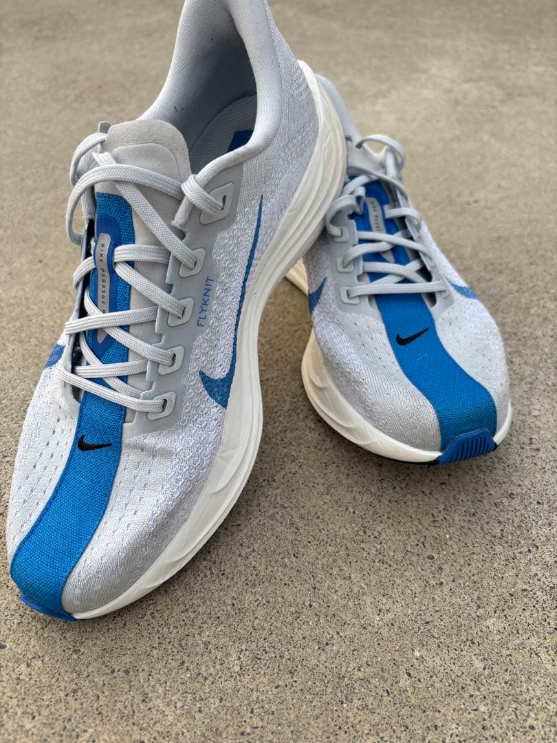 美品　ナイキペガサスプラス　27cm 美品】ナイキ ペガサス プラス 27cm - メルカリ