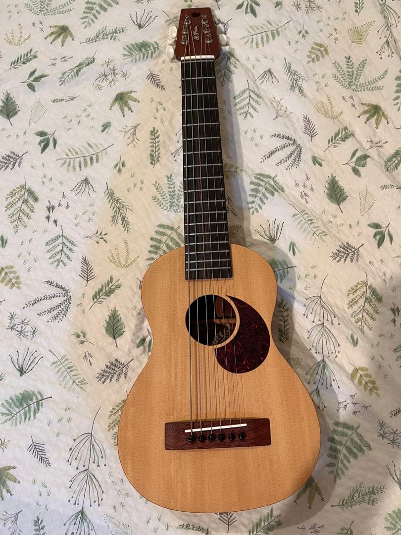 K. Yairi Sunny ミニギター K-Yairi 新発売ミニギター SUNNYをWEBで注文したら翌日に届きました