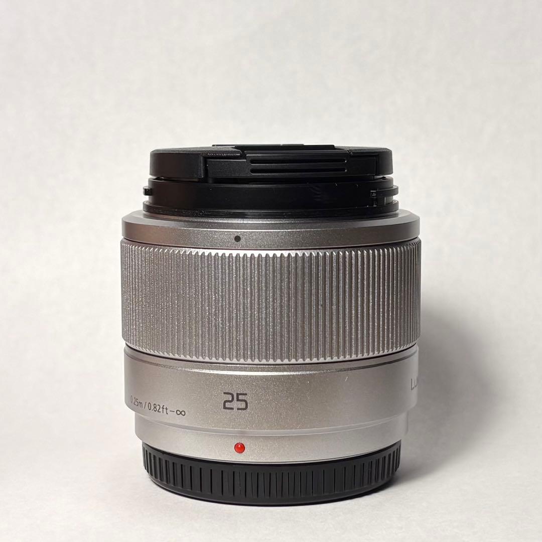 LUMIX 25mm f/1.7 単焦点レンズ LUMIXG25mmF1.7 この画角が好き、朝曇り風景を撮ってきた - おささるろぐ