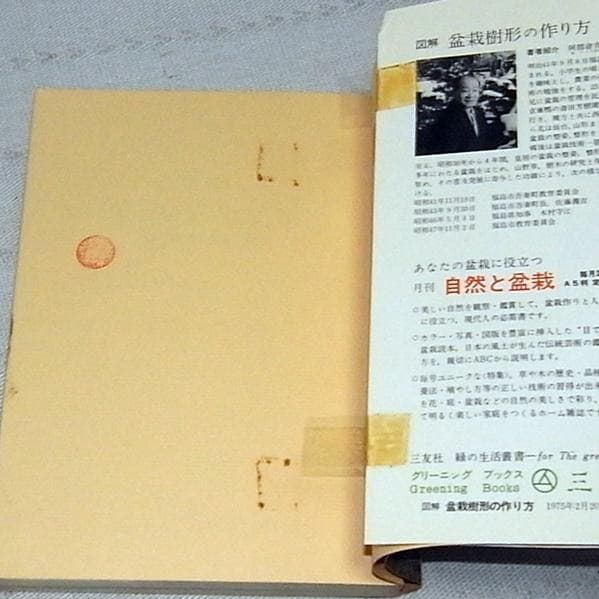 図解 盆栽樹形の作り方 五葉松盆栽の整姿 阿部倉吉 三友社 - メルカリ