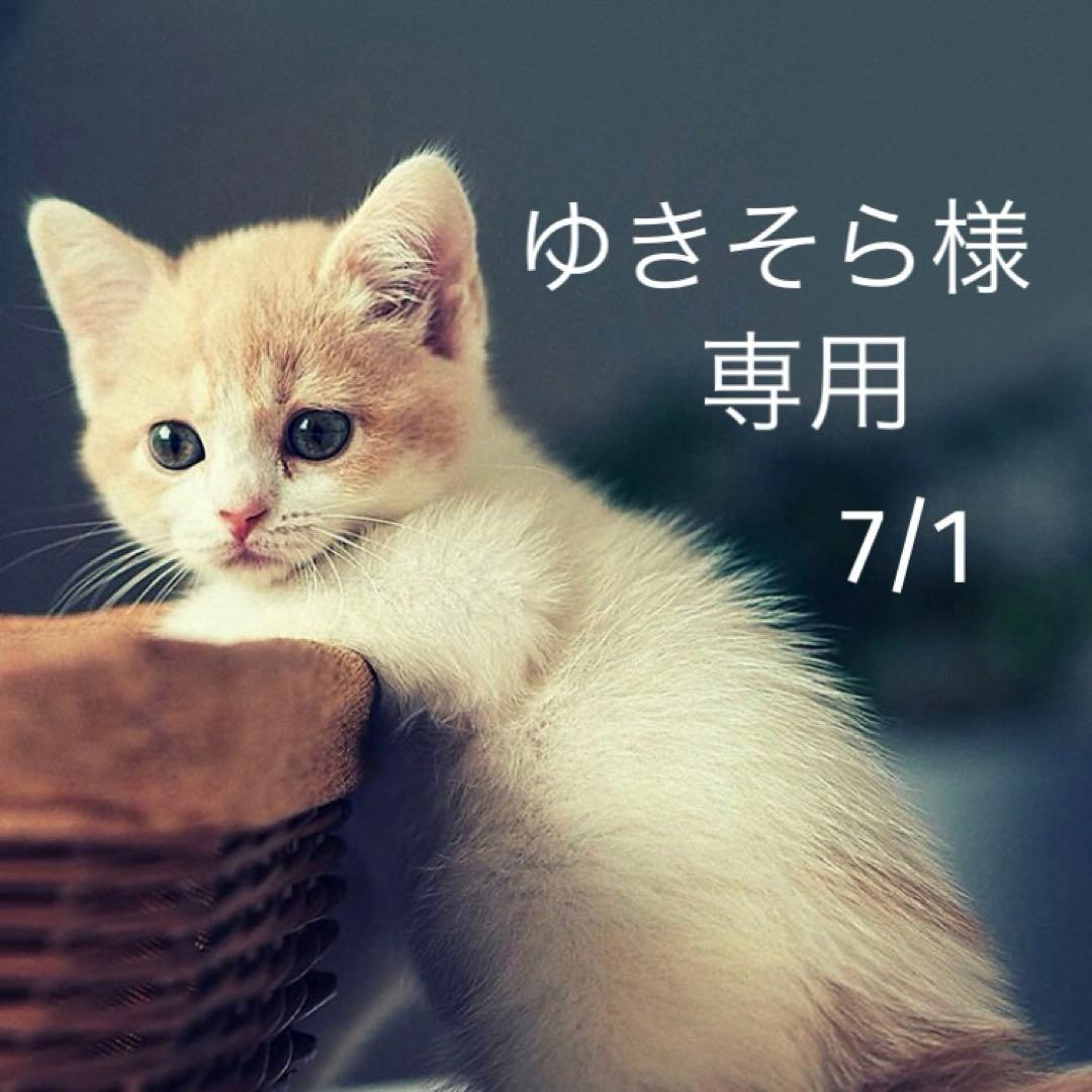 ゆきそら様 リクエスト16点 まとめ商品 まごごそら様 リクエスト 2点 まとめ商品 - メルカリ