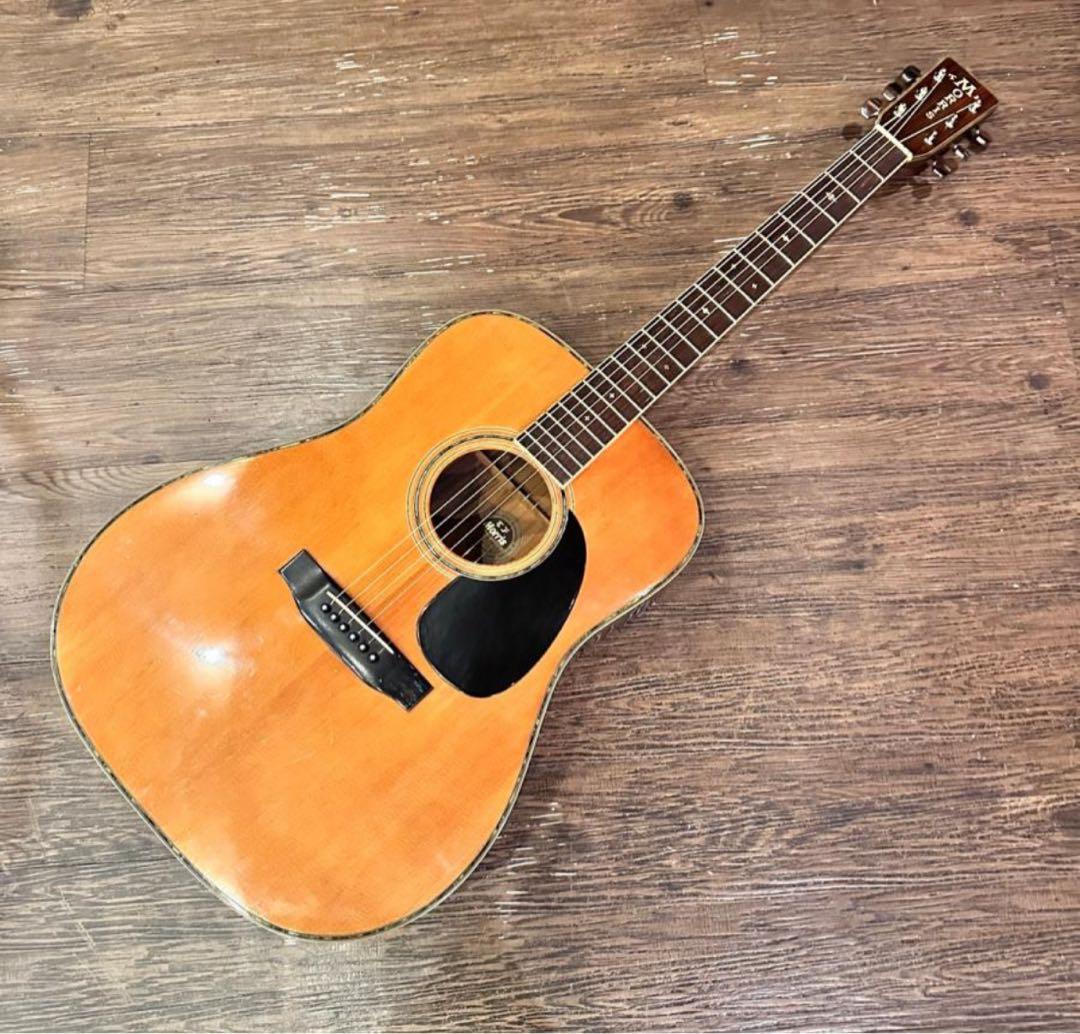 モーリスアーコスティックギターW-50 W-50 | 生産完了品 | MORRIS GUITARS モーリスギター