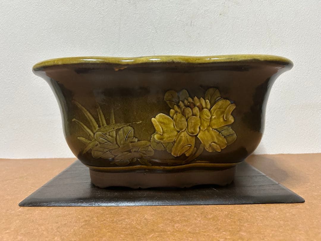 yoshi 盆栽　盆栽鉢　山野草　植木鉢 トキワシノブ 鉢植え 猫の手シノブ 盆栽 ミニ盆栽 山野草 現品 : やま