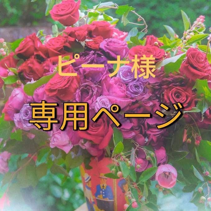 ピーナ/6 2023 Kawasaki Ninja ZX-6R 緑 (ミニカー) - ホビーサーチ ミニカー