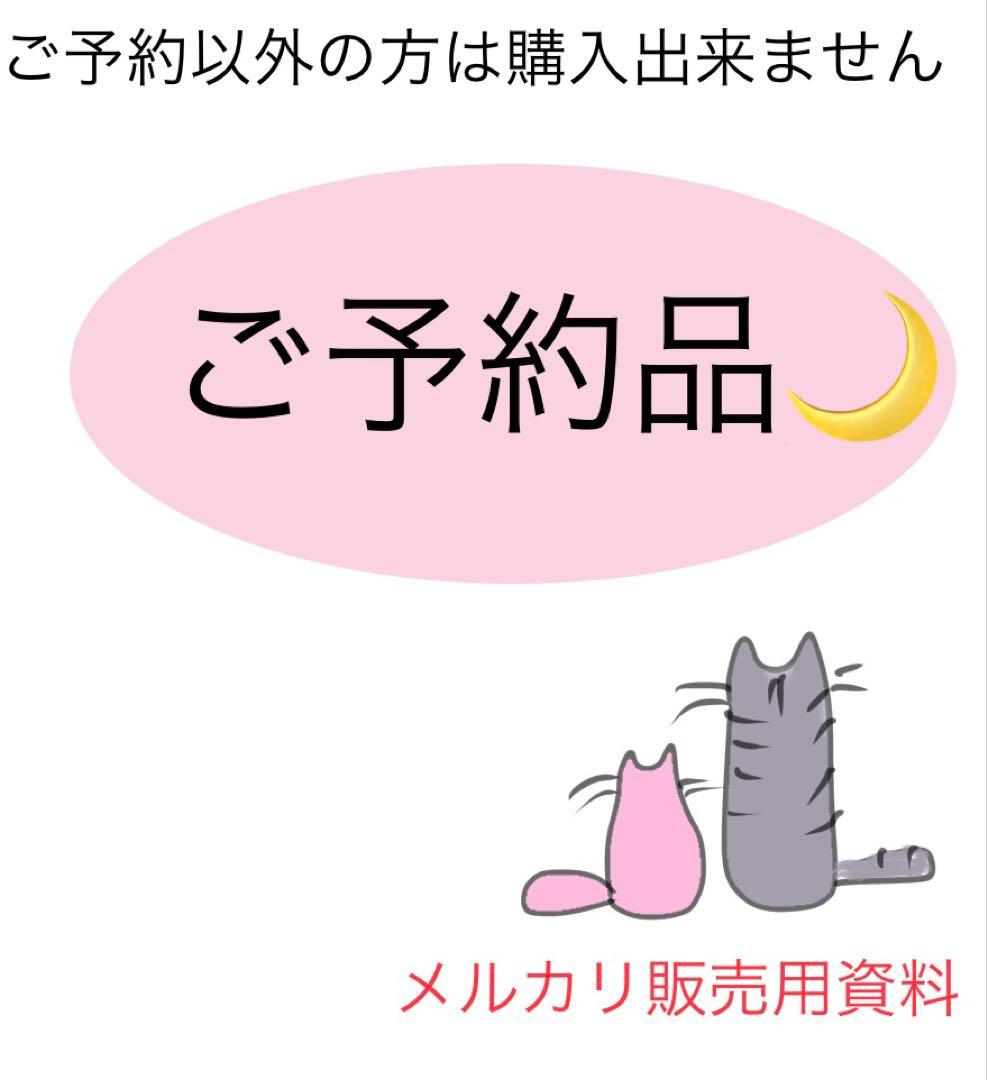 バスガイド資料・テキスト・教本【ご予約の方以外、購入出来ません】 情報処理教科書 出るとこだけ！ITパスポート 2025年版 ｜ SEshop｜ 翔