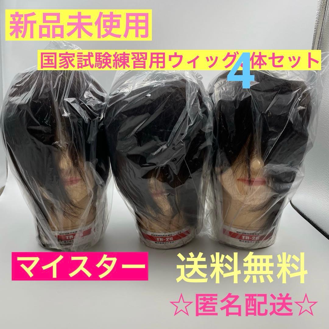 カットウィッグ　カットマネキン　国家試験用　練習用　マイスター　新品未使用 FOSSIL（フォッシル） 美容師実技試験 第1課題用 カットウイッグ 練習