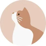 4/4 サイズ｜Christina VS series オールド仕様 バイオリン - メルカリ