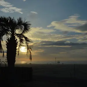 超レア】オスカーデラレンタ Oscar de la Renta イエローコート - メルカリ