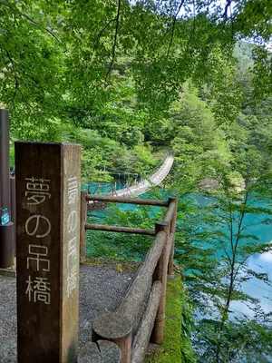 ノルディカ 紫色 152cm 女性用 スキー板 - メルカリ