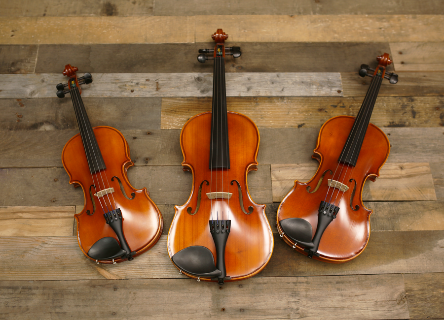 Eastman Strings Violin Model VL80 with Case and Bow (New) - Star