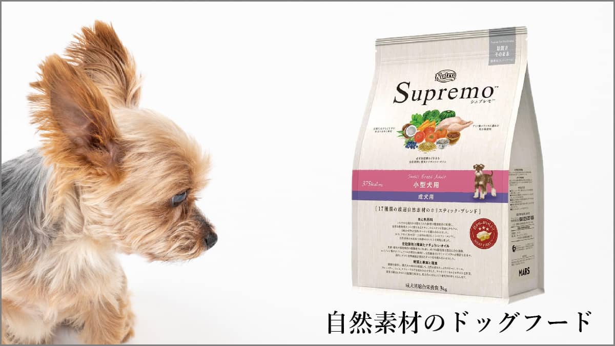 ニュートロ シュプレモ 子犬用 小粒 Nutro Supremo 子犬用 小粒 19kg