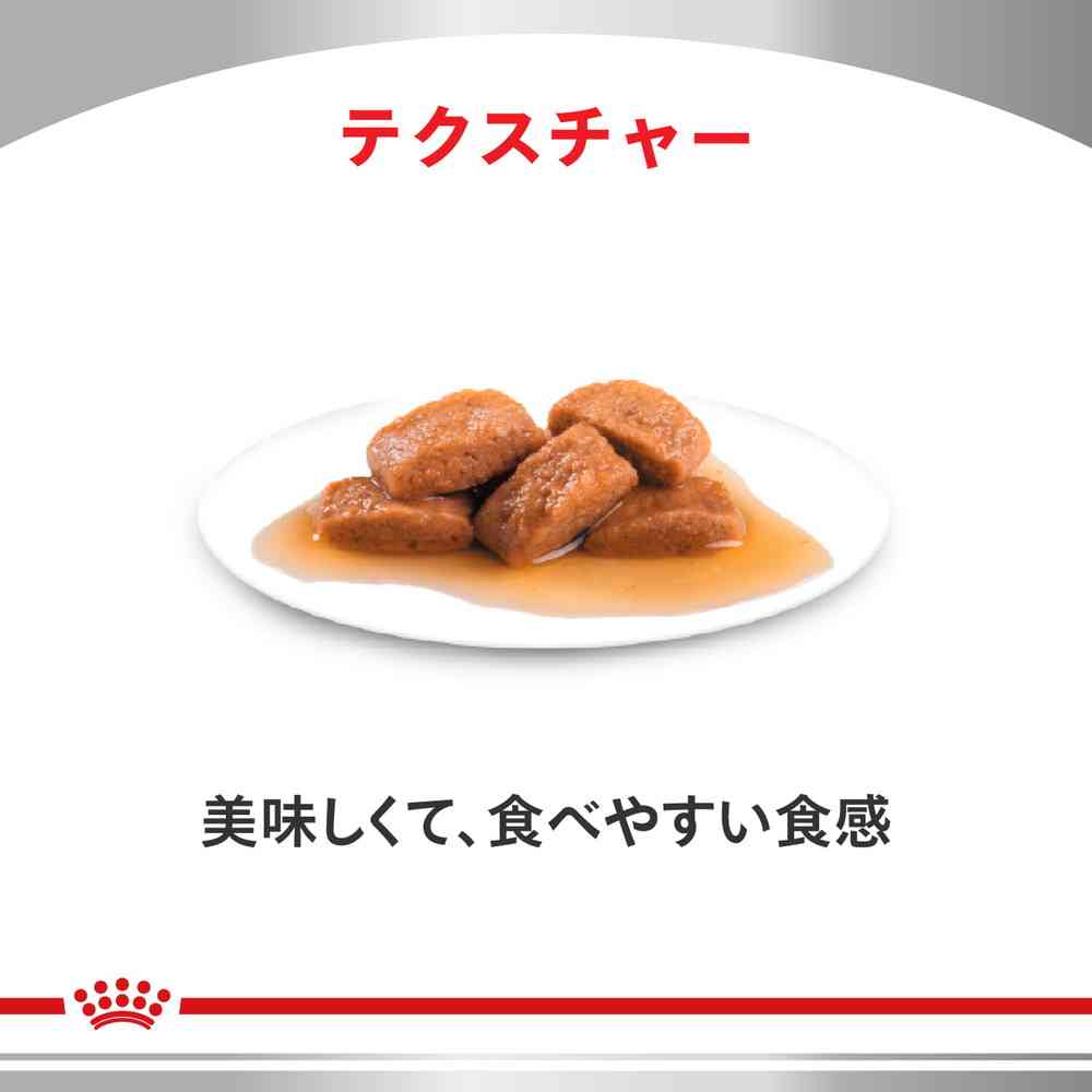 猫用 腎臓サポートチキンテイスト パウチ 85gx12×2