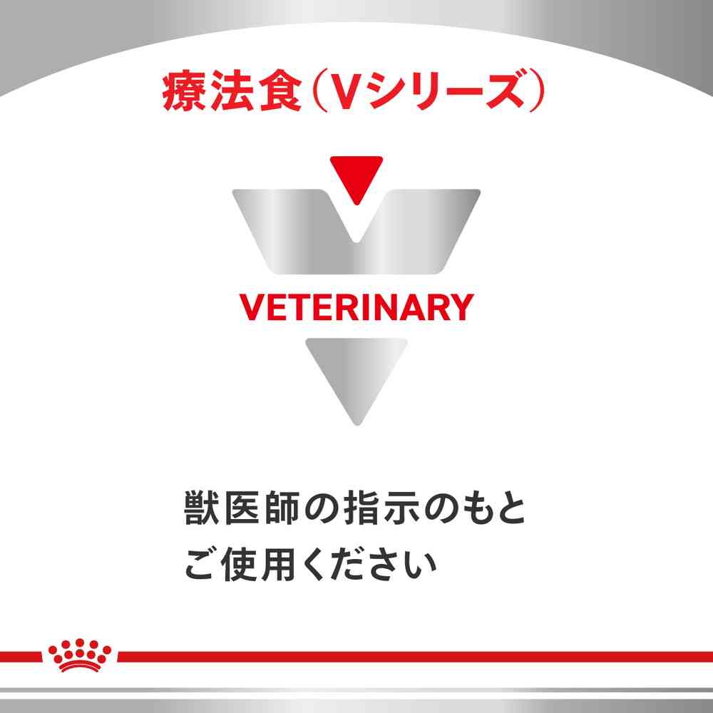 猫用 腎臓サポートチキンテイスト パウチ 85gx12×2