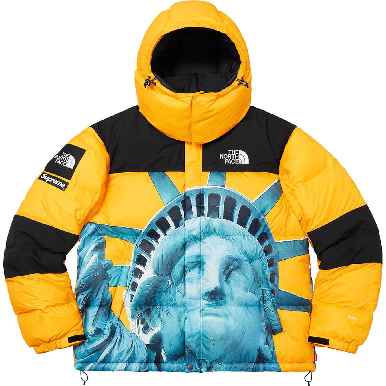 Supreme®/The North Face® Statue of Liberty Baltoro Jacket
