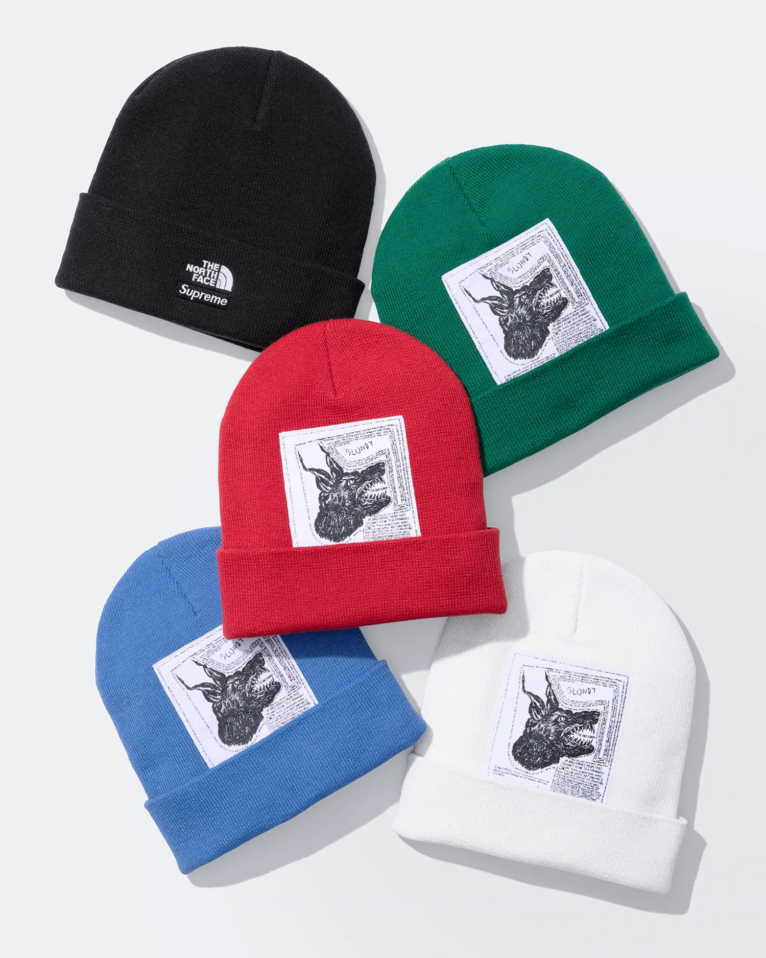 Supreme®/The North Face® Beanie | Supreme 24fw