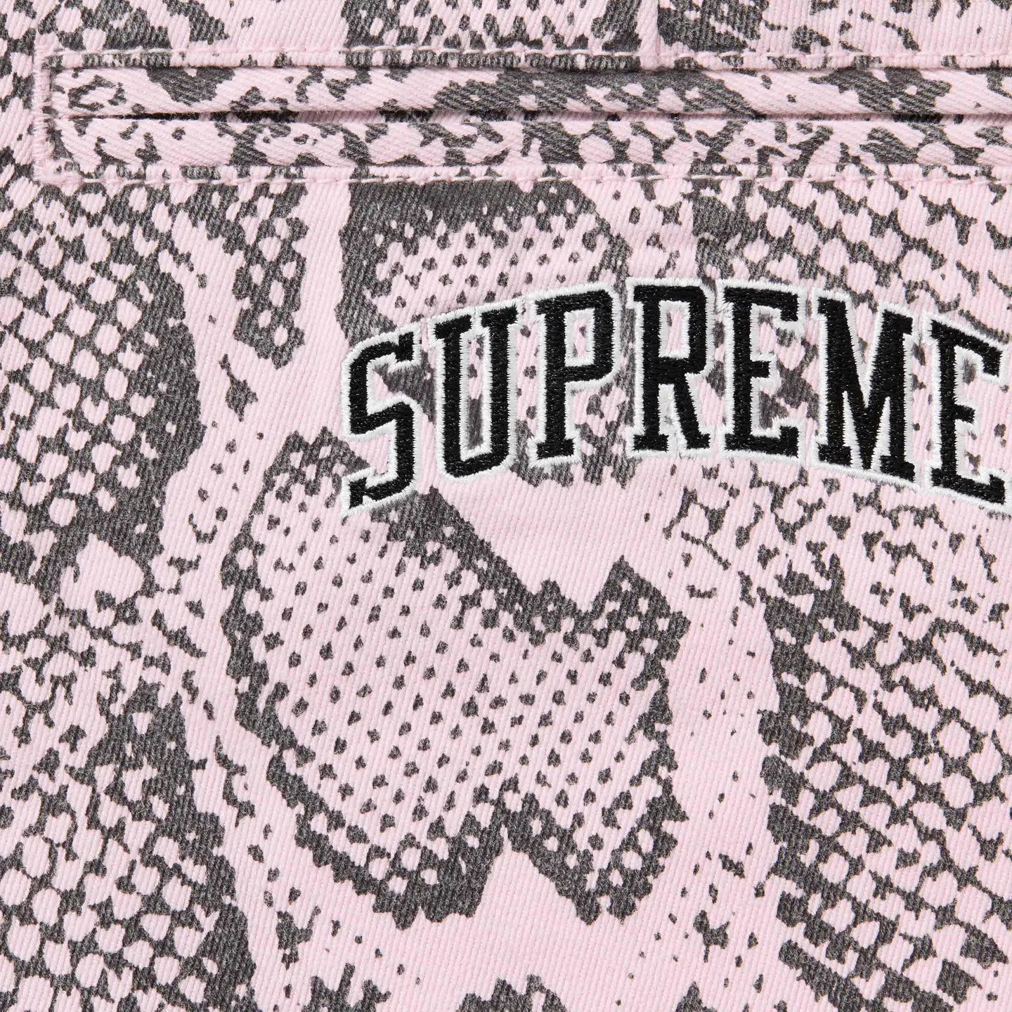 Snake Print Chino Pant | Supreme 24ss