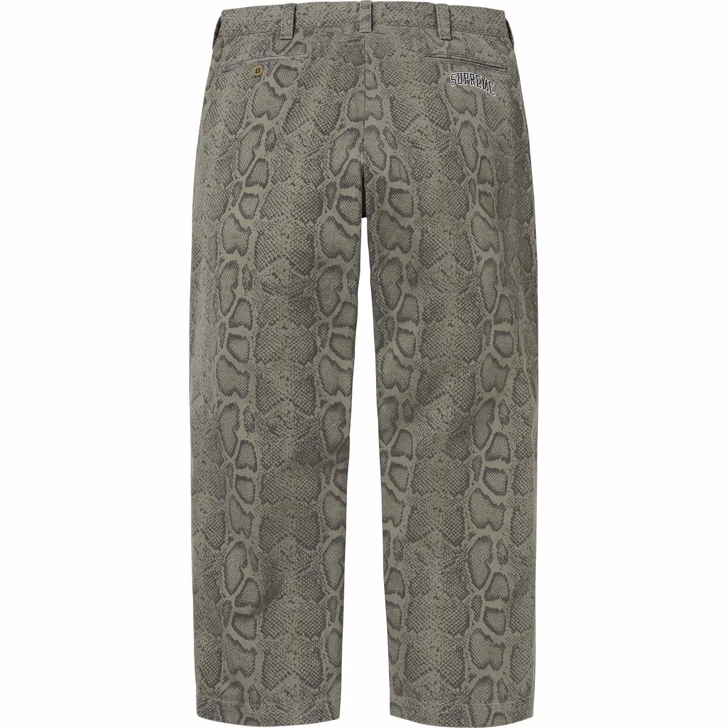 Snake Print Chino Pant | Supreme 24ss