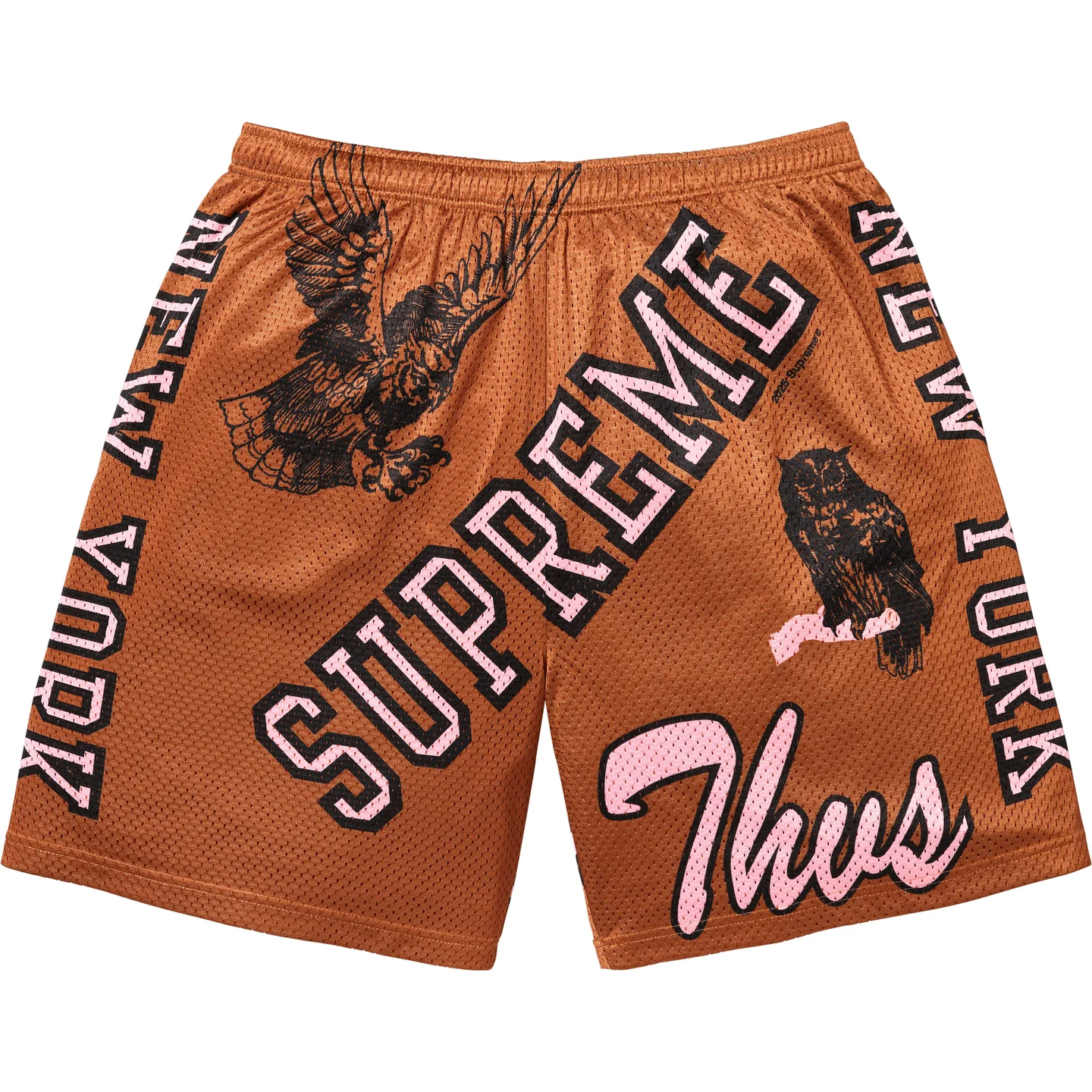 Varsity Mesh Short | Supreme 25ss
