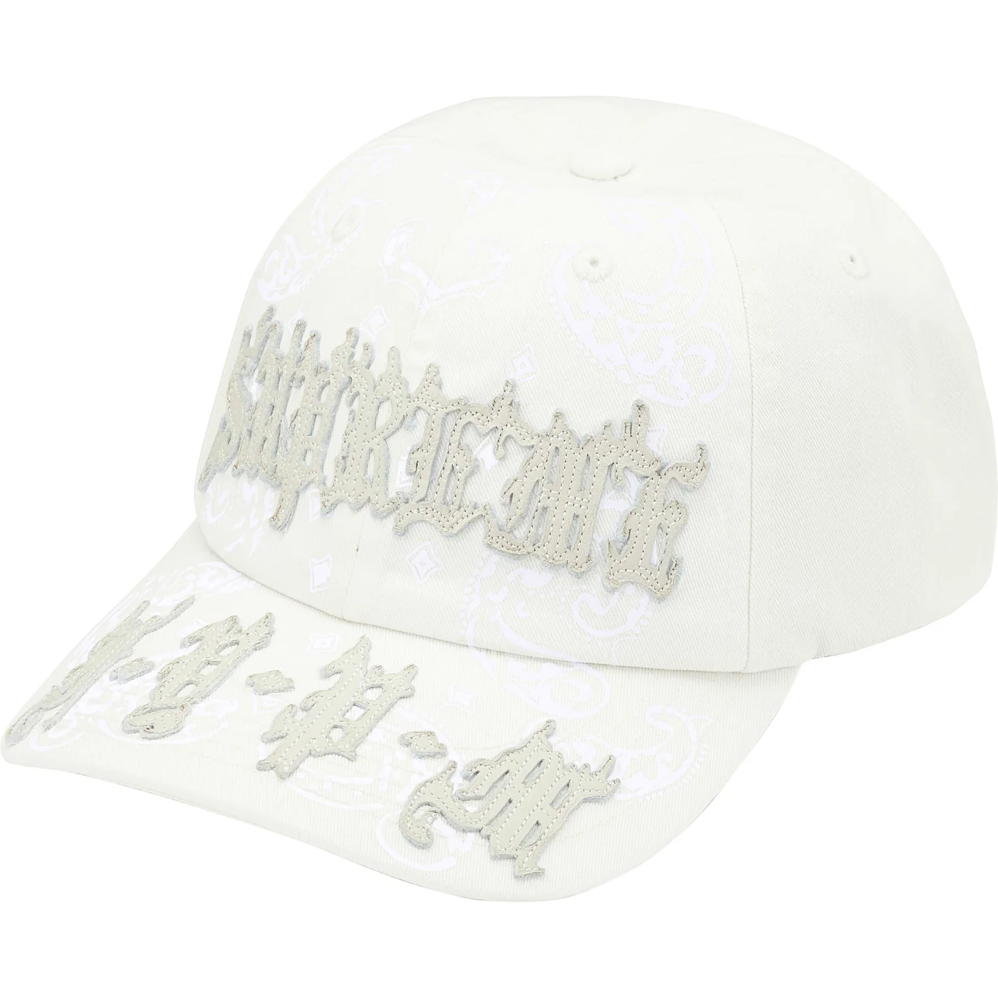 Leather Appliqué 6-Panel | Supreme 25ss