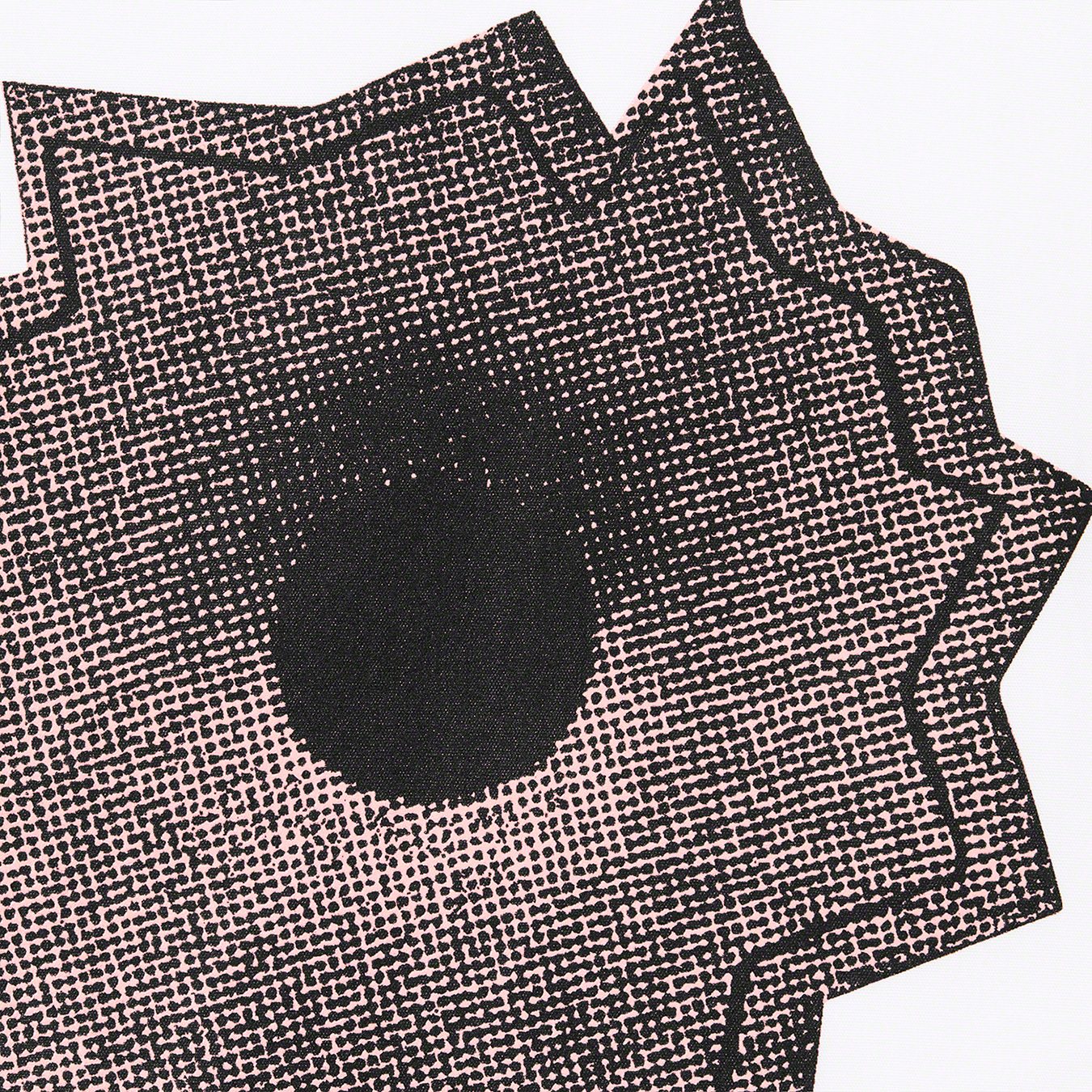 Nate Lowman/Supreme S/S Shirt | Supreme 22ss