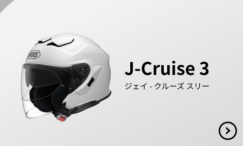 B+COM SX1 - SYGNHOUSE